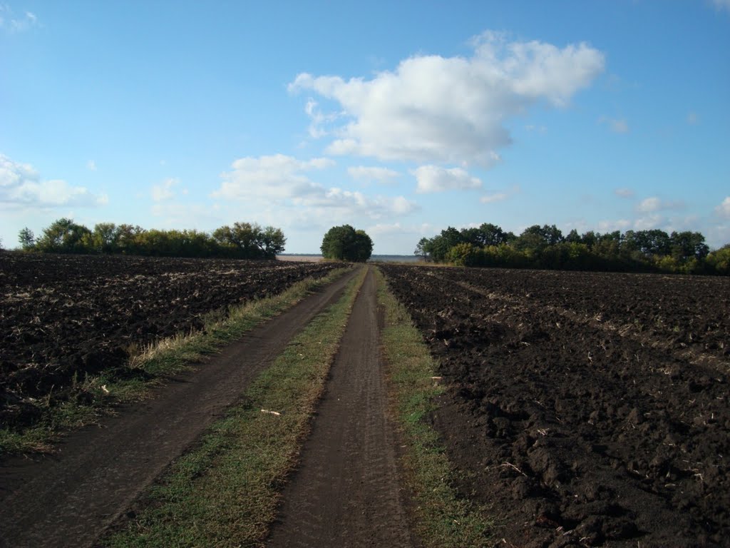 дорога к ставку Чёрный