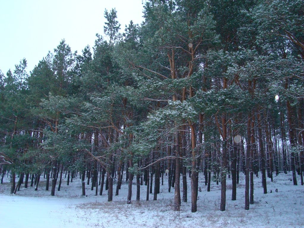 Ternivka
