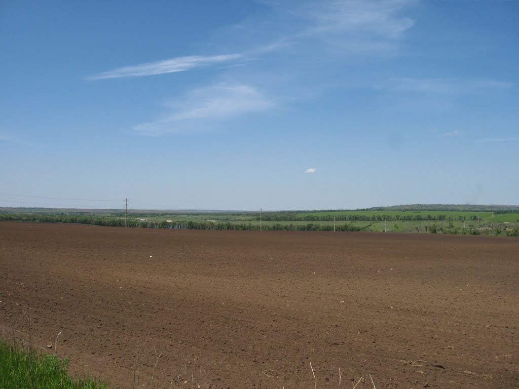 Поля Криворіжжя