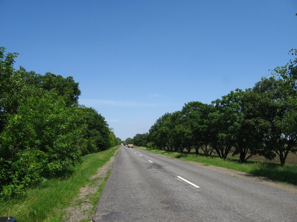 Дорога Кривий Ріг-Інгулець