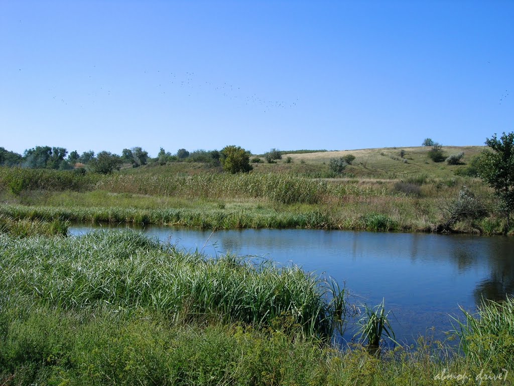 Маленький водоём