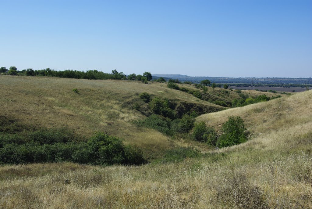 Безіменна балка, серпень 2010 р.