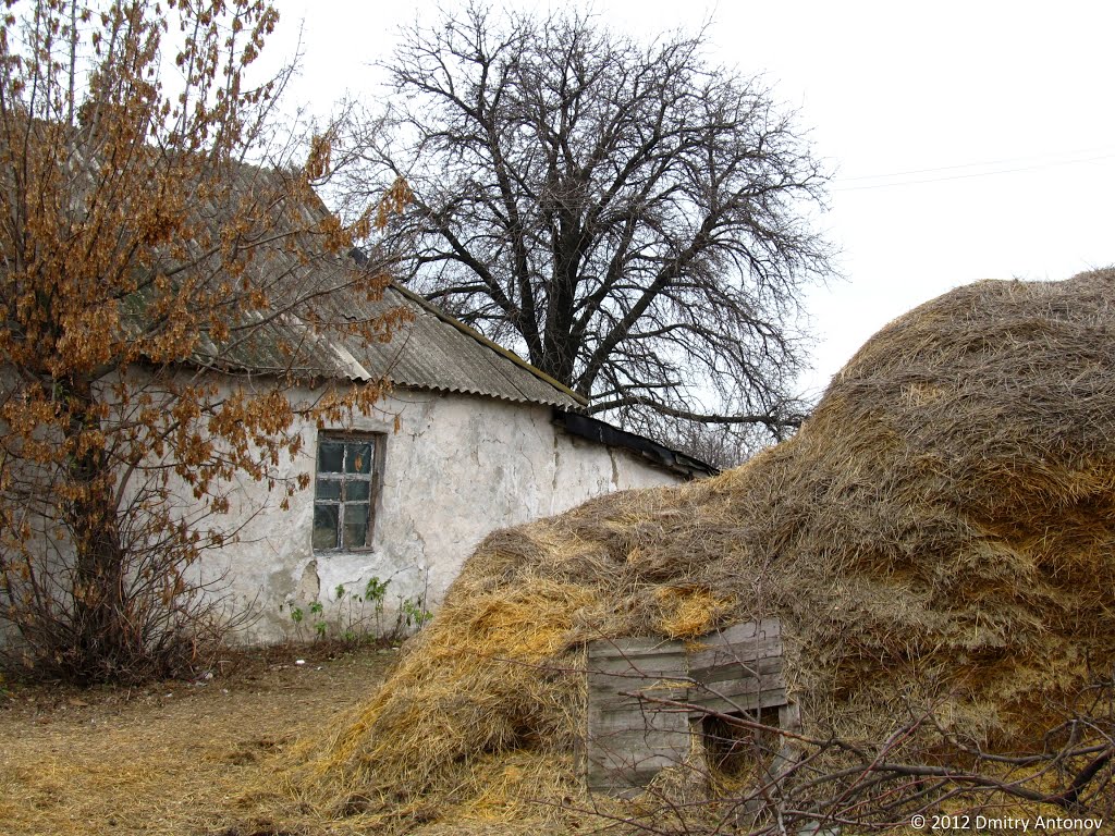 Будинок селянина у с.Інгулець (колишня єврейська колонія), 2012