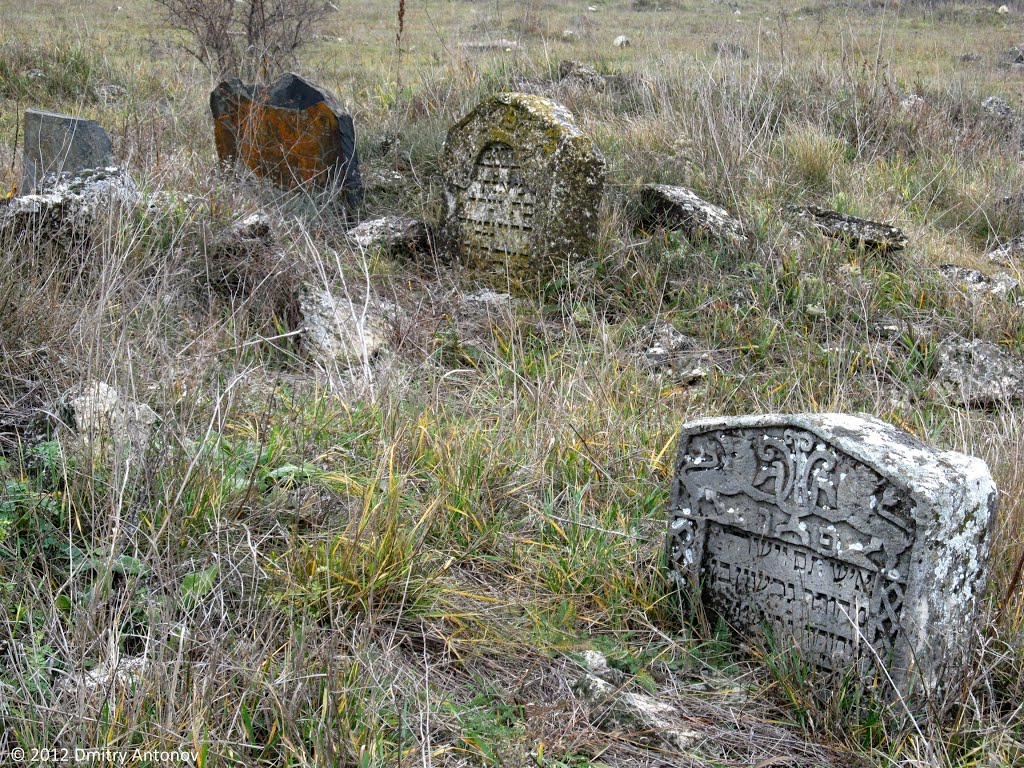 Старовинне кладовище єврейської колонії Інгулець. Знаходиться в занедбаному стані, поступово зникає. Фото 2012 р.