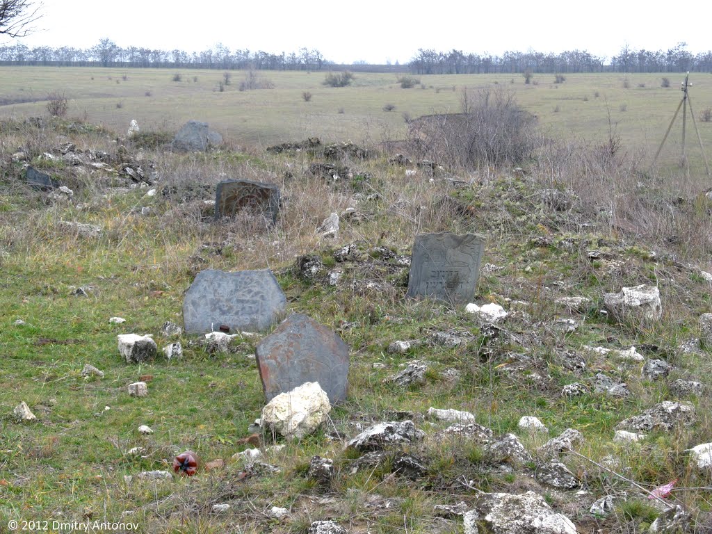 Старовинне кладовище єврейської колонії Інгулець. Знаходиться в занедбаному стані, поступово зникає. Фото 2012 р.