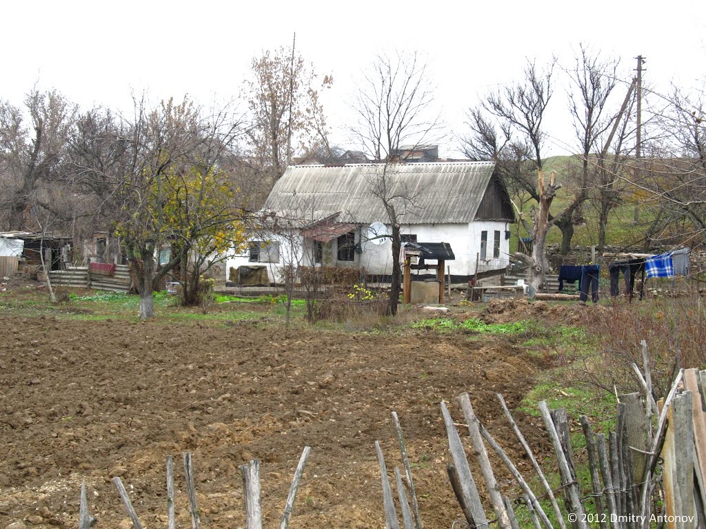 Скоро зима, 2012