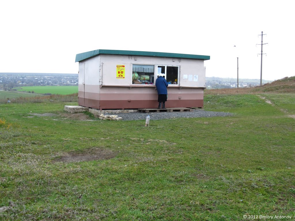 Шопінг на селі, 2012