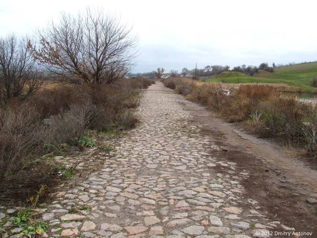 Стара дорога між Зеленим та Стародобровольським. Вид в бік Зеленого, 2012