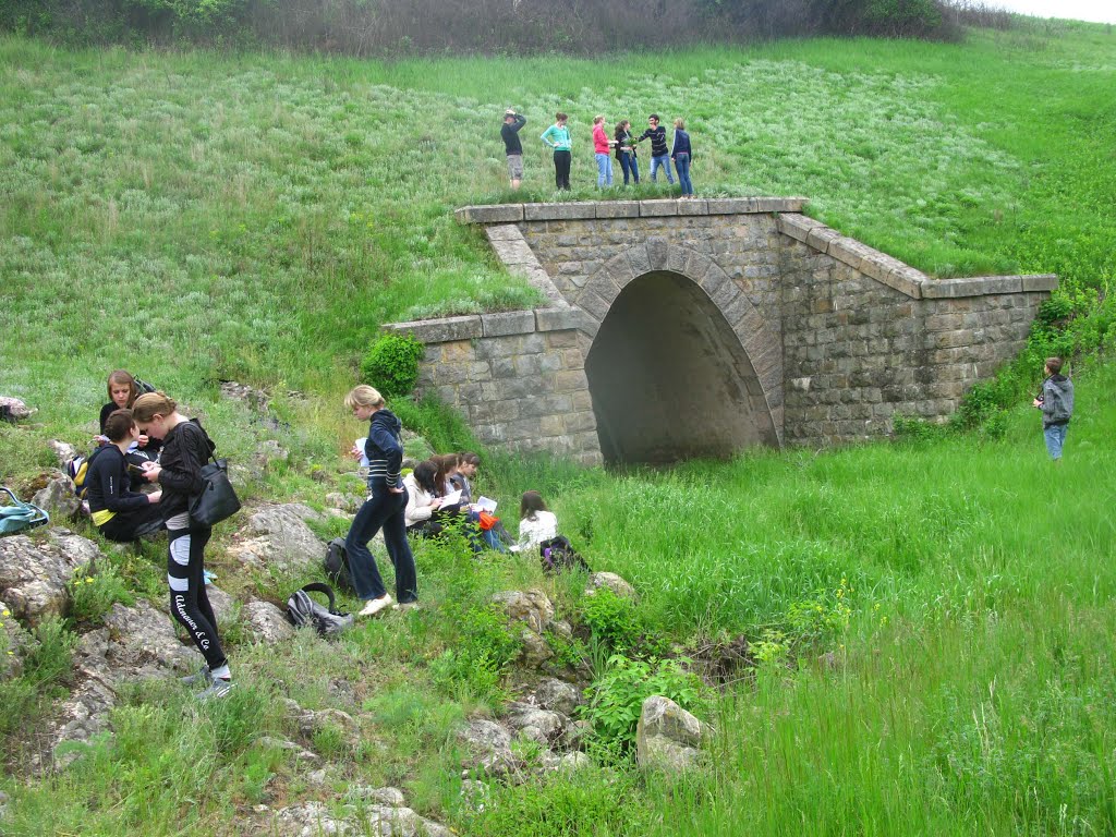 Old tunnel under railway and students