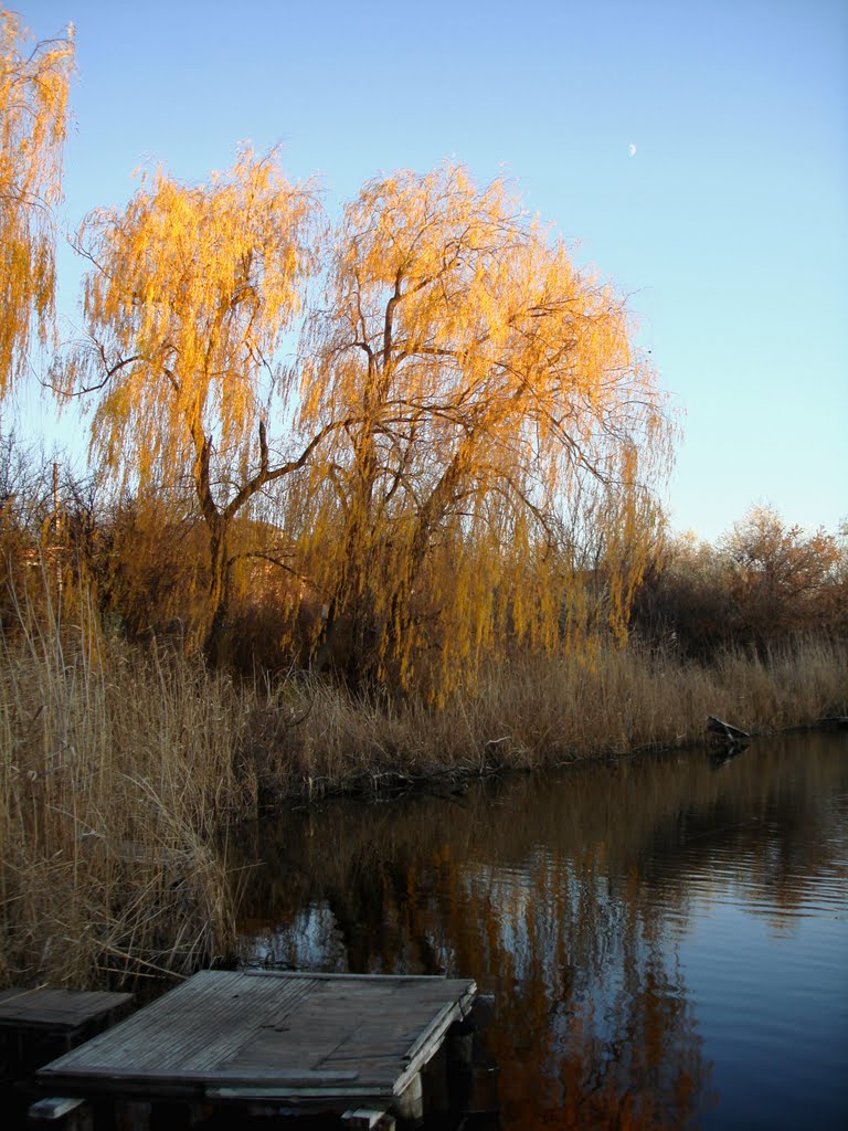 Поздняя осень на реке Сура