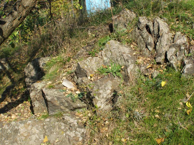 Metabasalts of Metho-Archean Surska suite 5