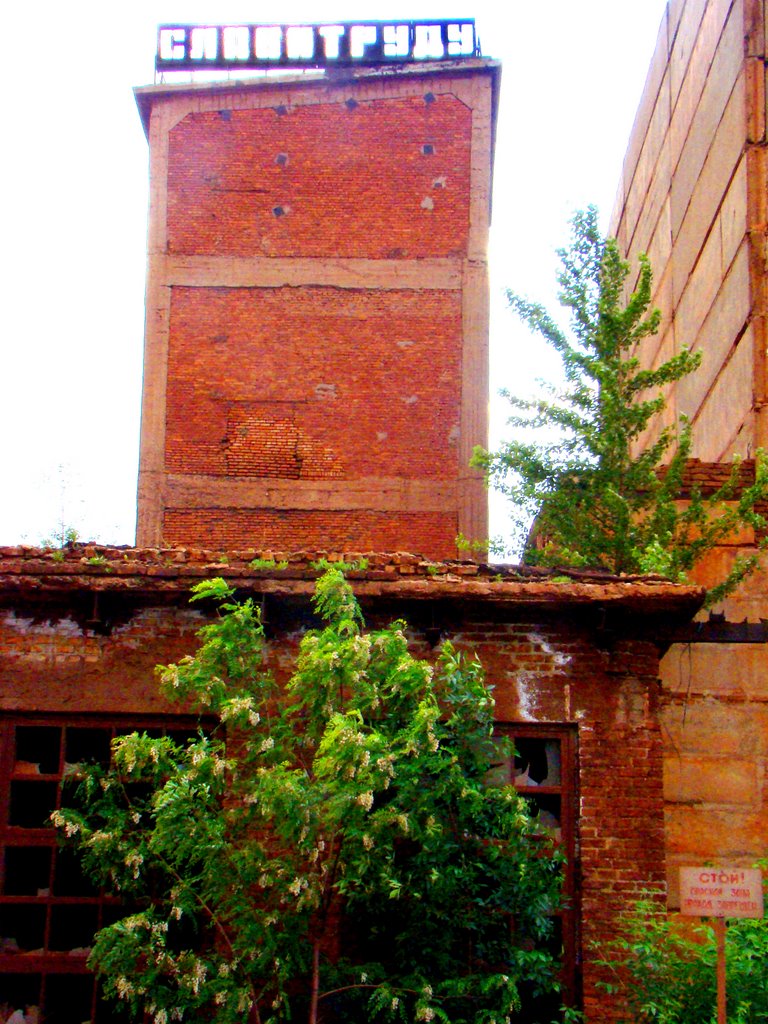 Near old karier