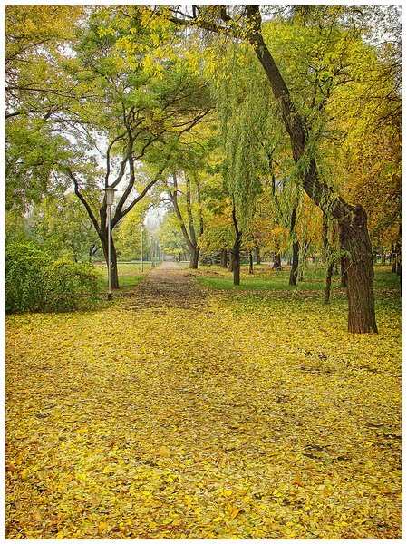 Осень