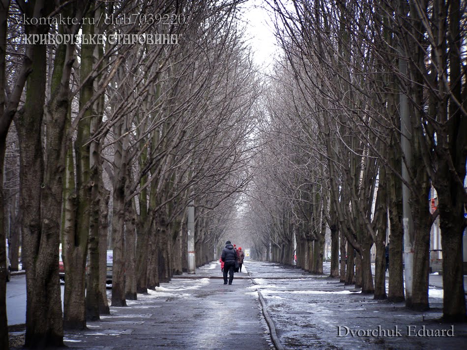 Вулиця Революційна взимку. Фото 2011 р.
