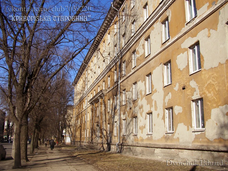 Костенка №19. Фото 2011 г.