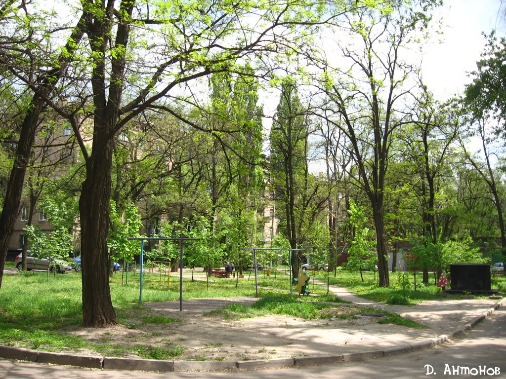 У дворі на Революційній