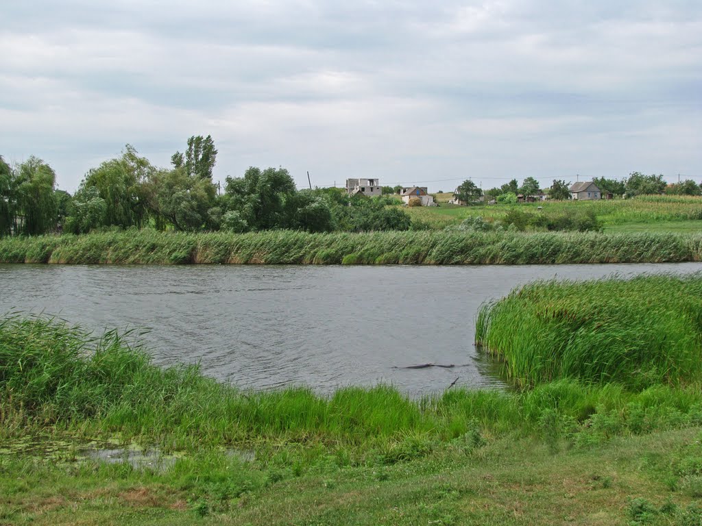 Ставок