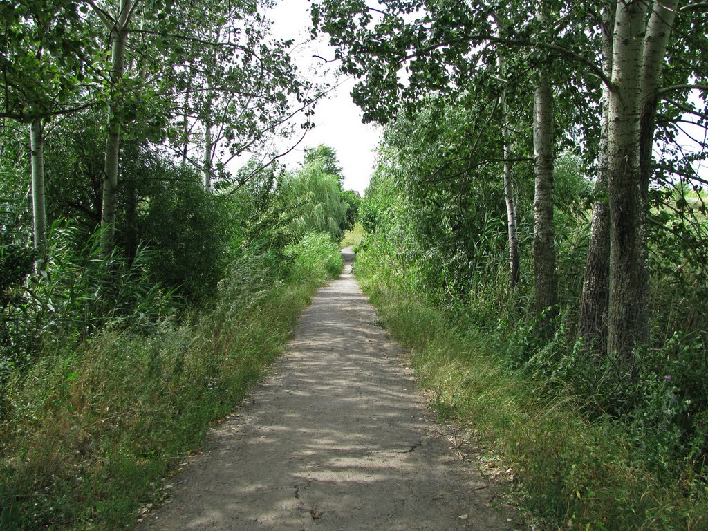 Мост