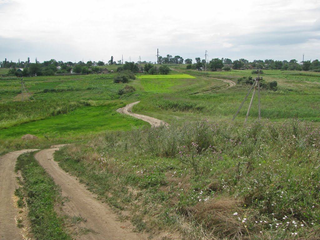 Дорога
