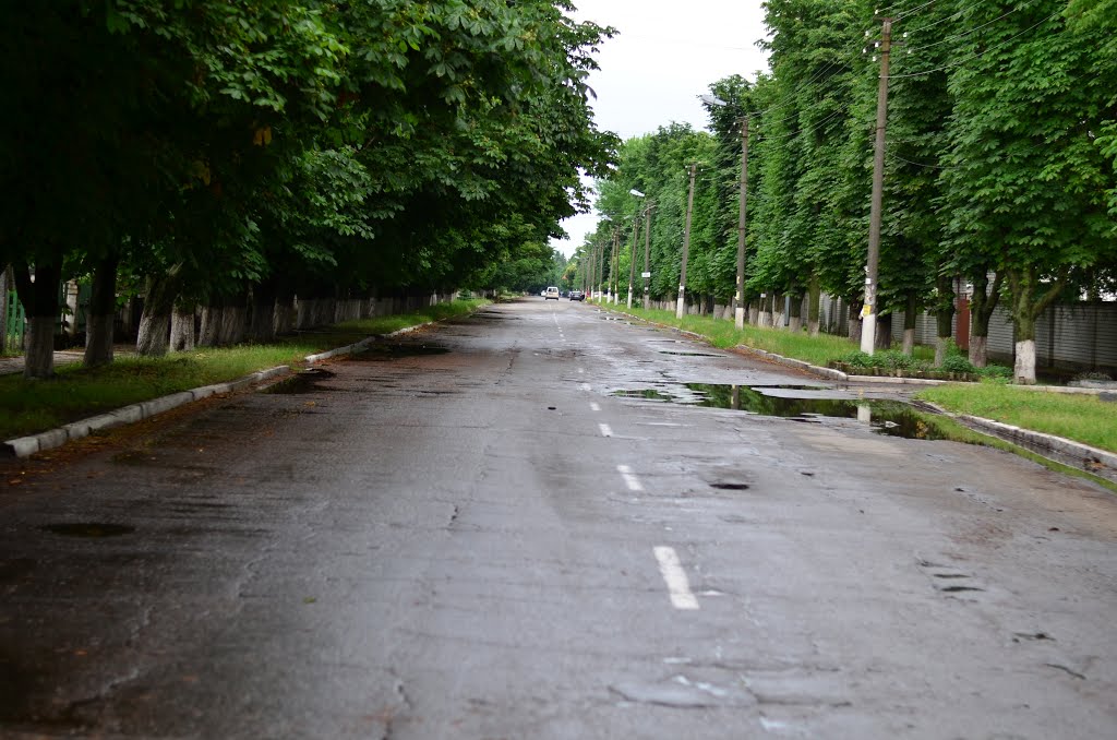Hupalivka
