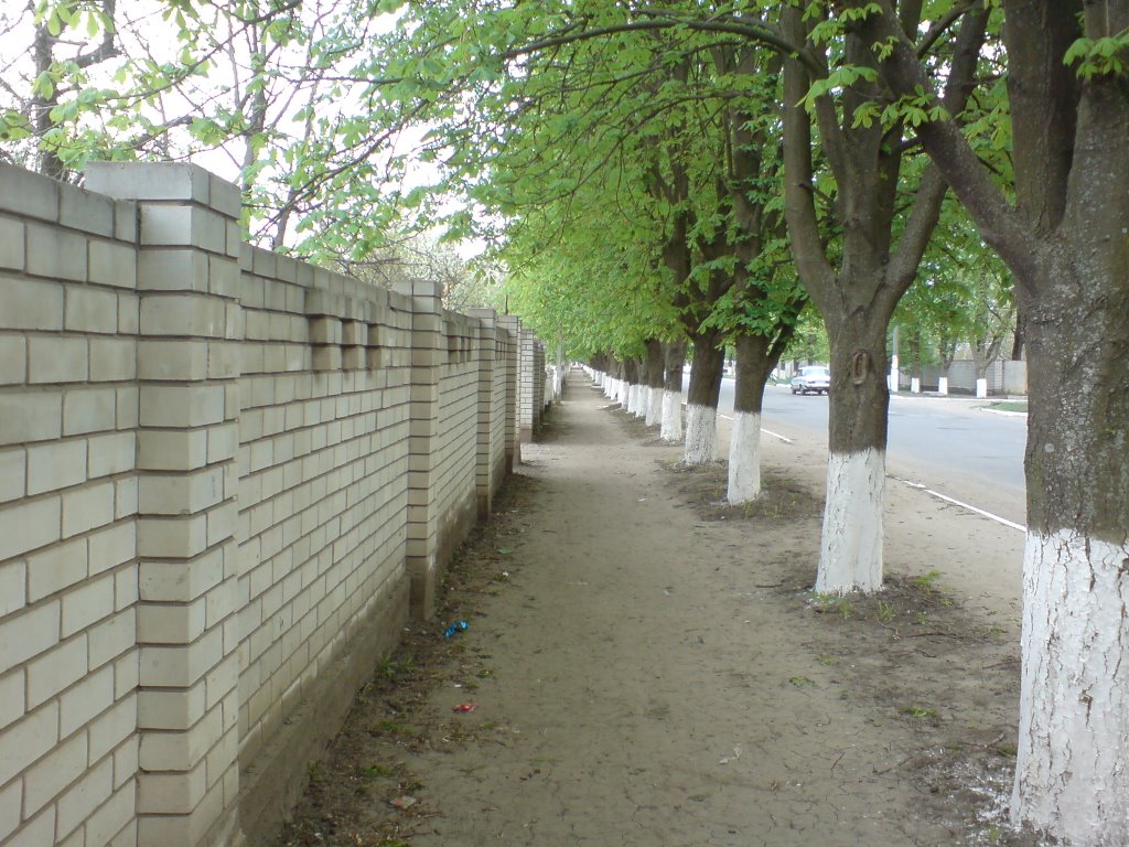 Советская