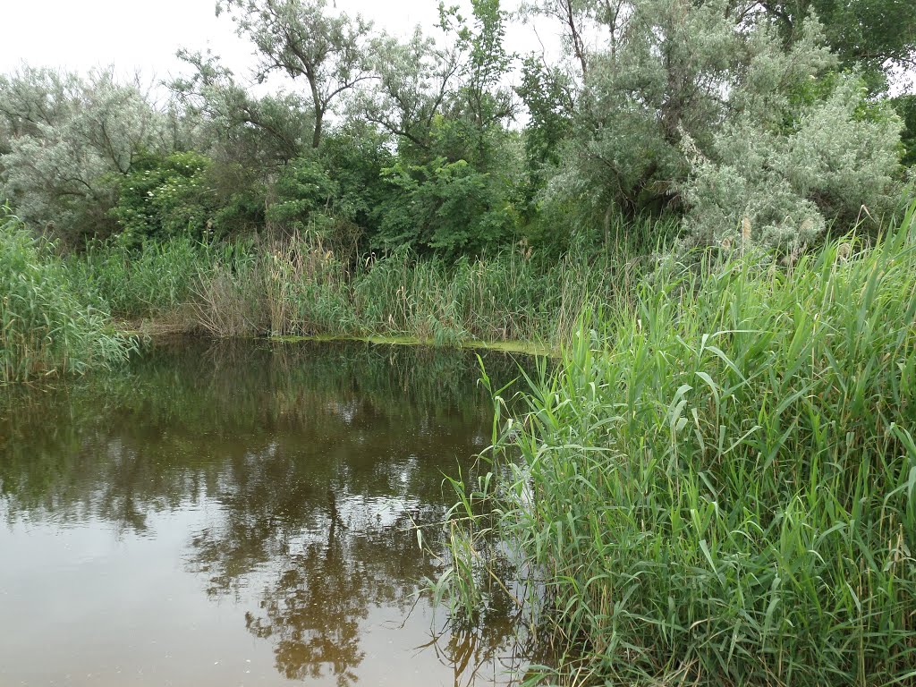 река Ревун