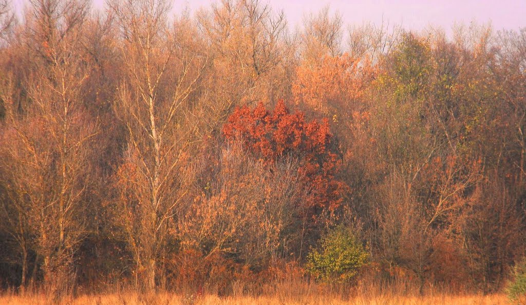 The breath of the fall.