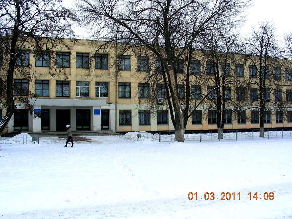 школа
