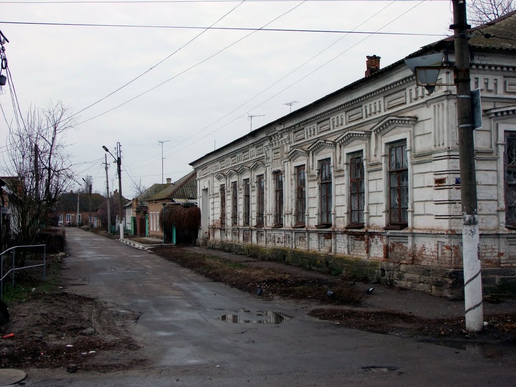 In the Old District of the city