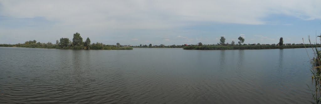 Самара-Новомосковск-Животиловка