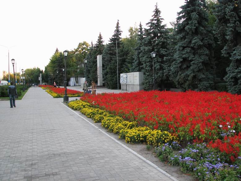 У Вечного огня, центр города