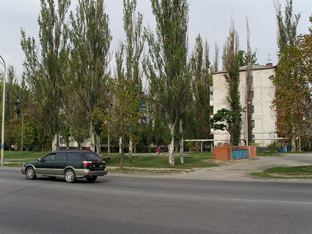Павлоград