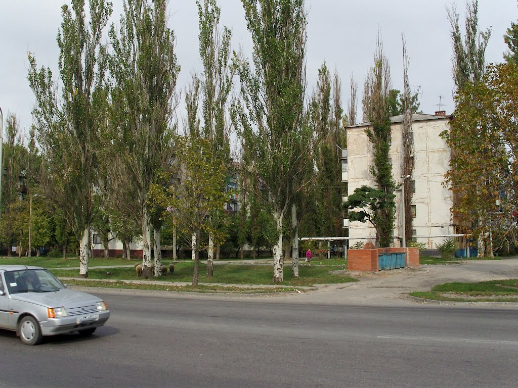 Павлоград