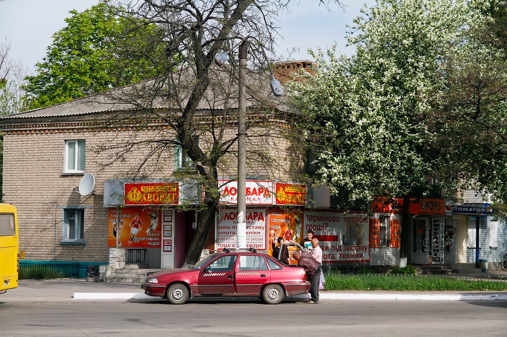 Bird Cherry Blooming - Цветет черемуха
