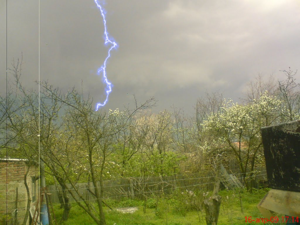 Весна 2010
