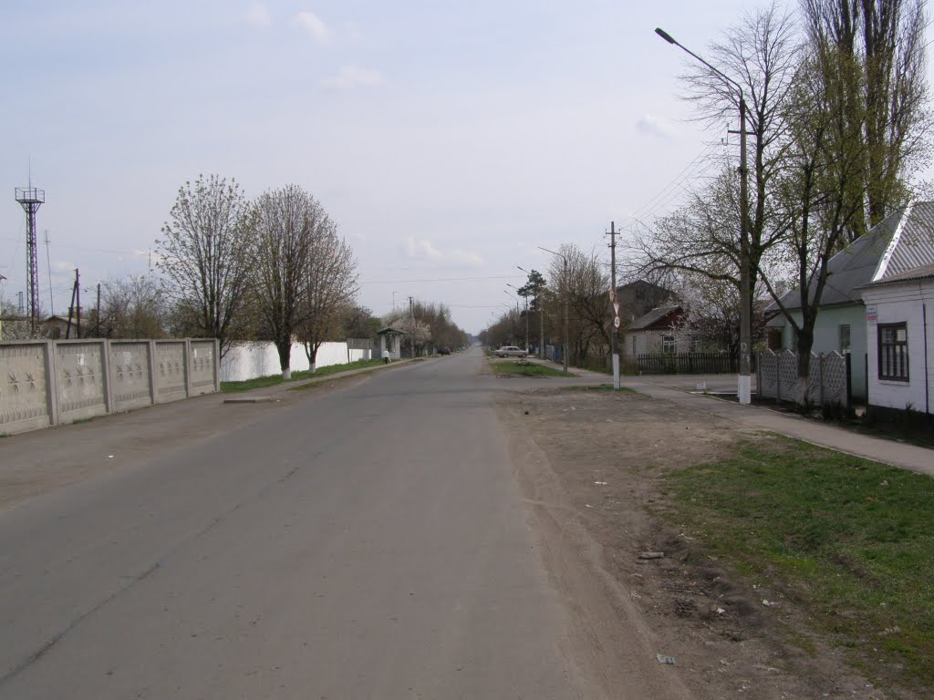 вул. Поштова. Вид на схід.