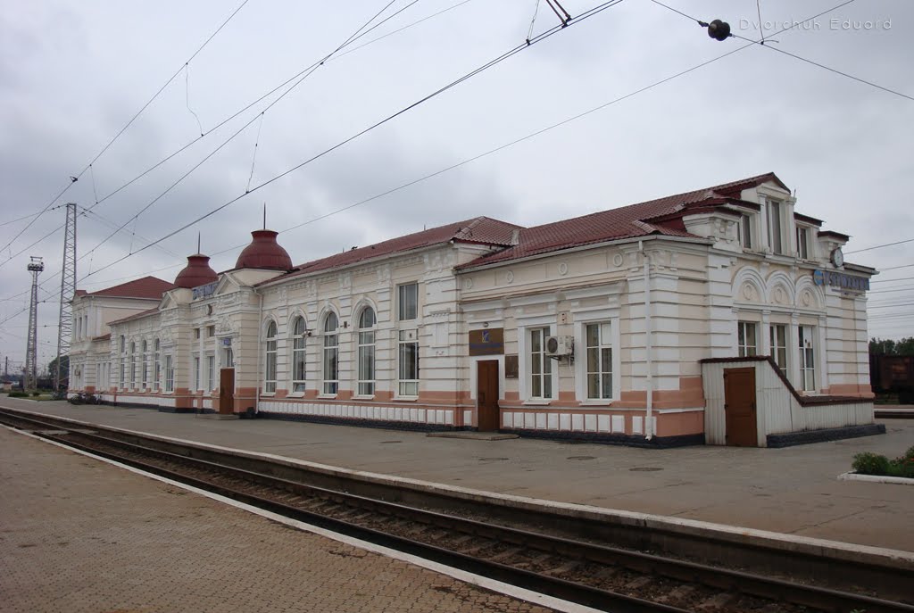 Станція Пятихатки, 2009 р.
