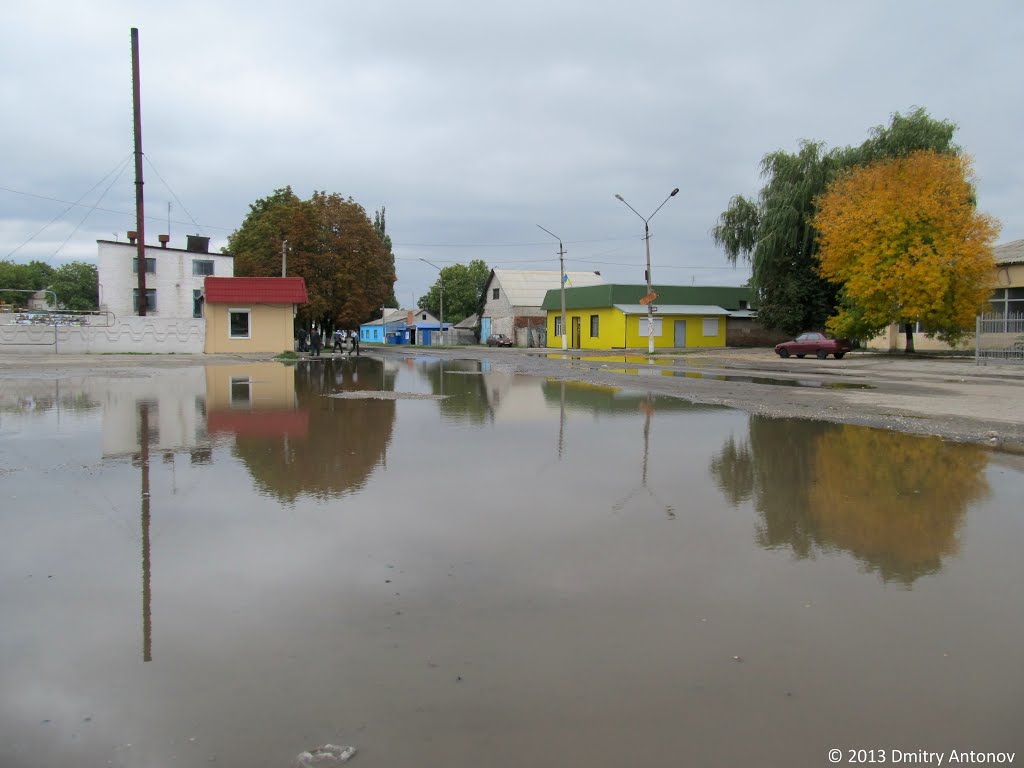 Одна з двох проблем Пятихаток, 2013