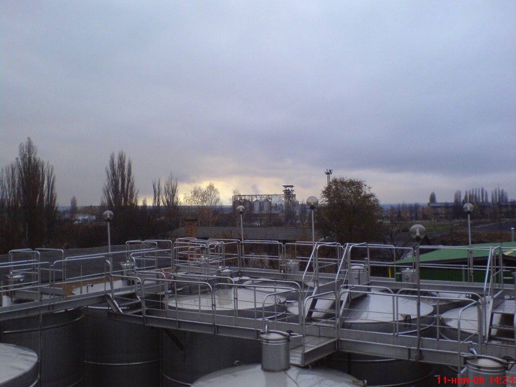 ооо Атлантис