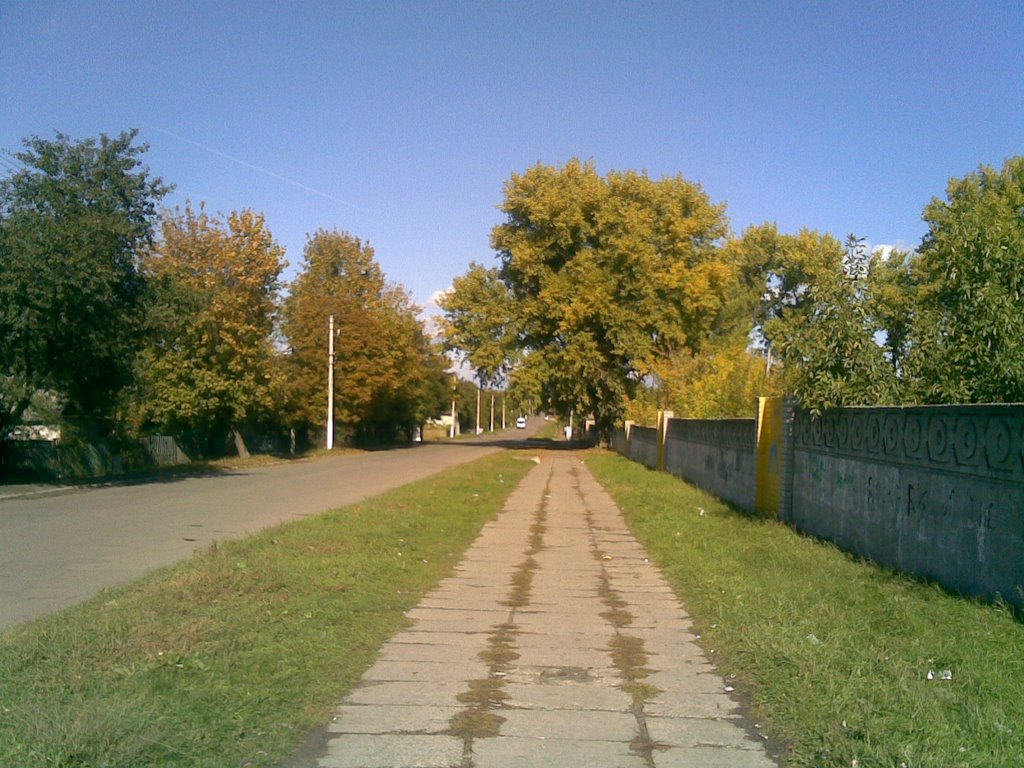 Синельниково