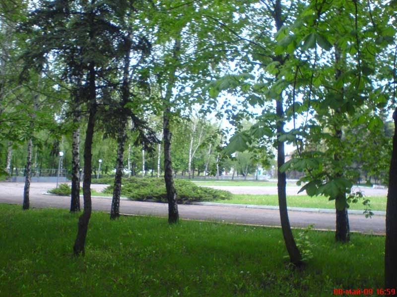 Синельниково, парк