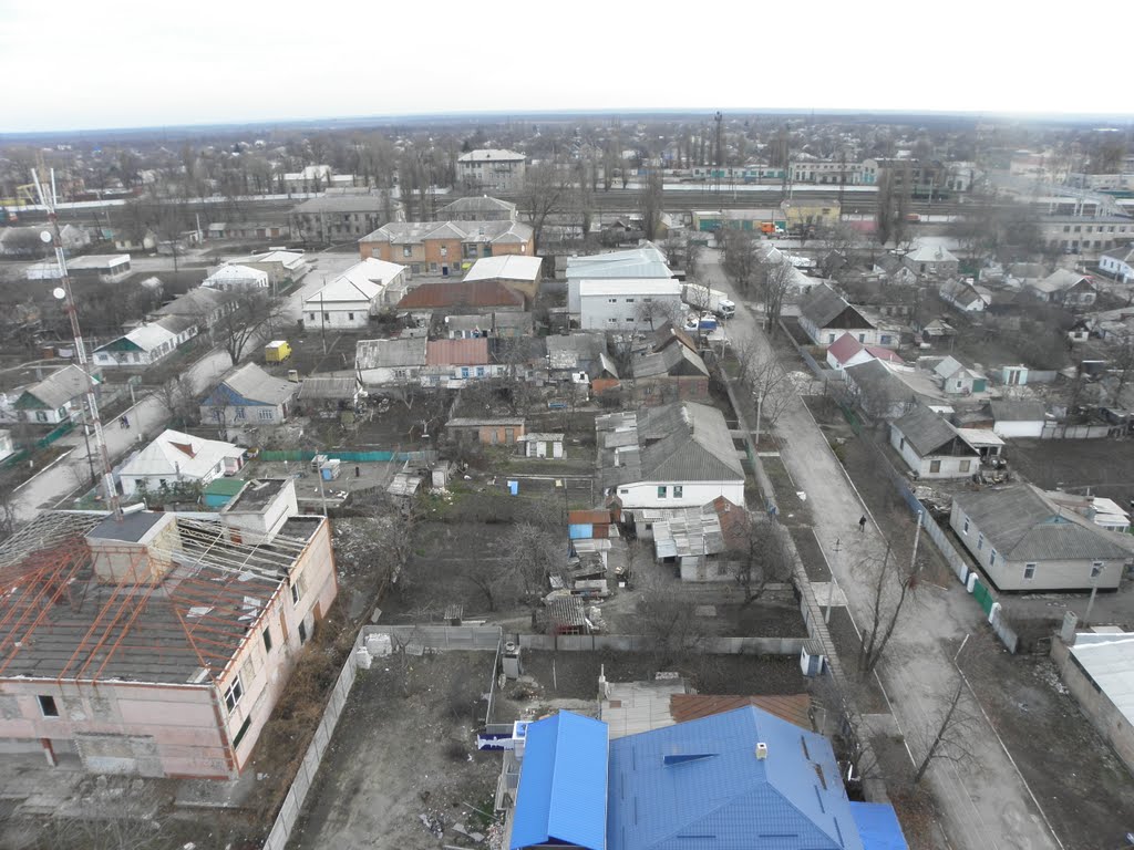 Синельниково