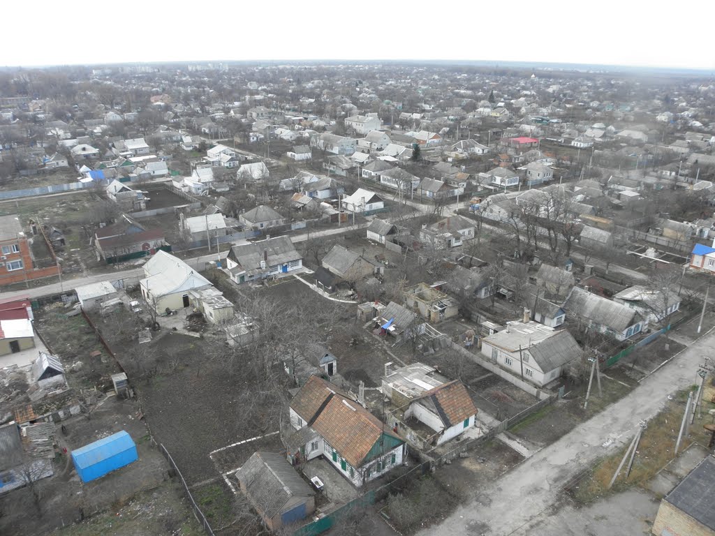 Синельниково