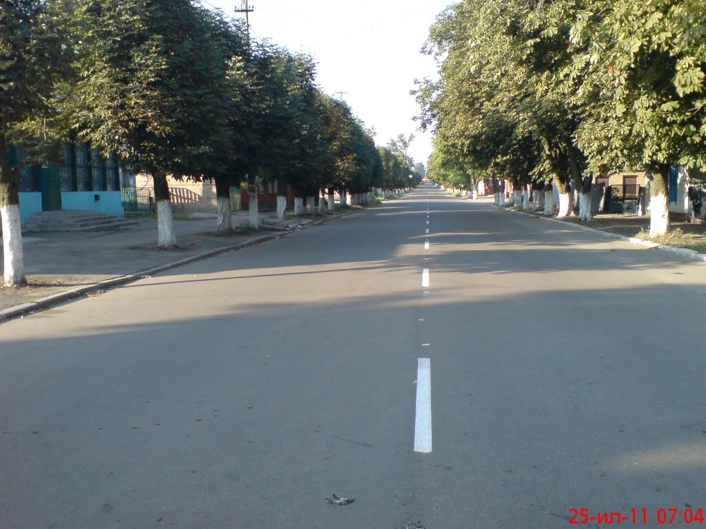 ул.Петровского