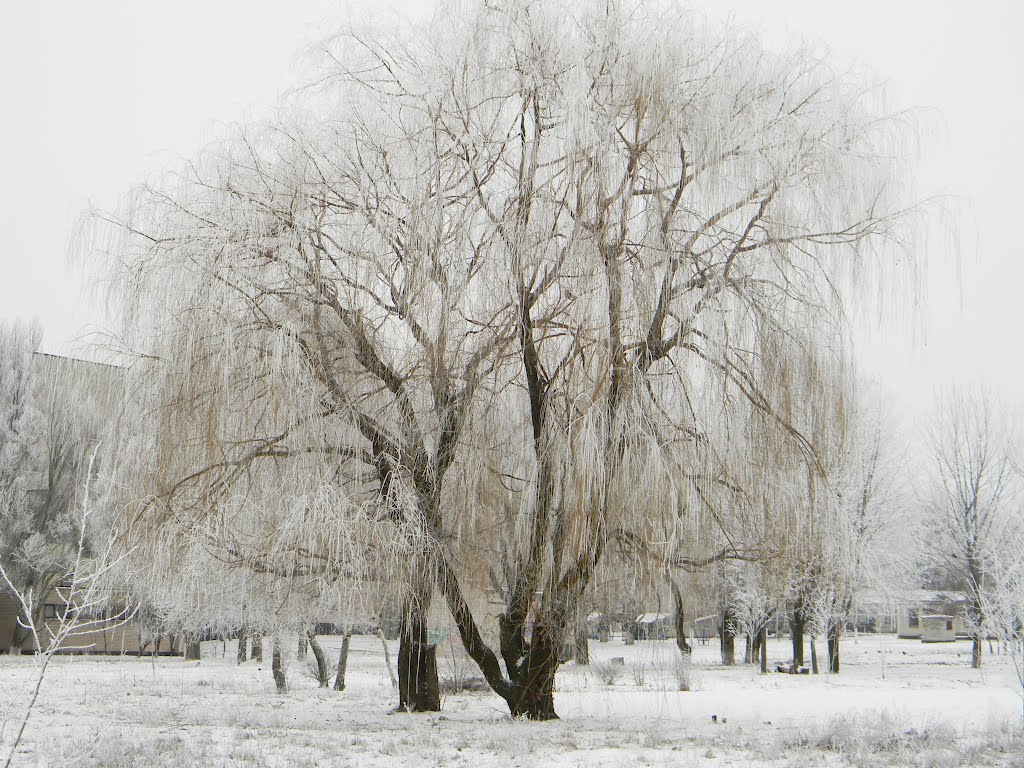 Возле больницы