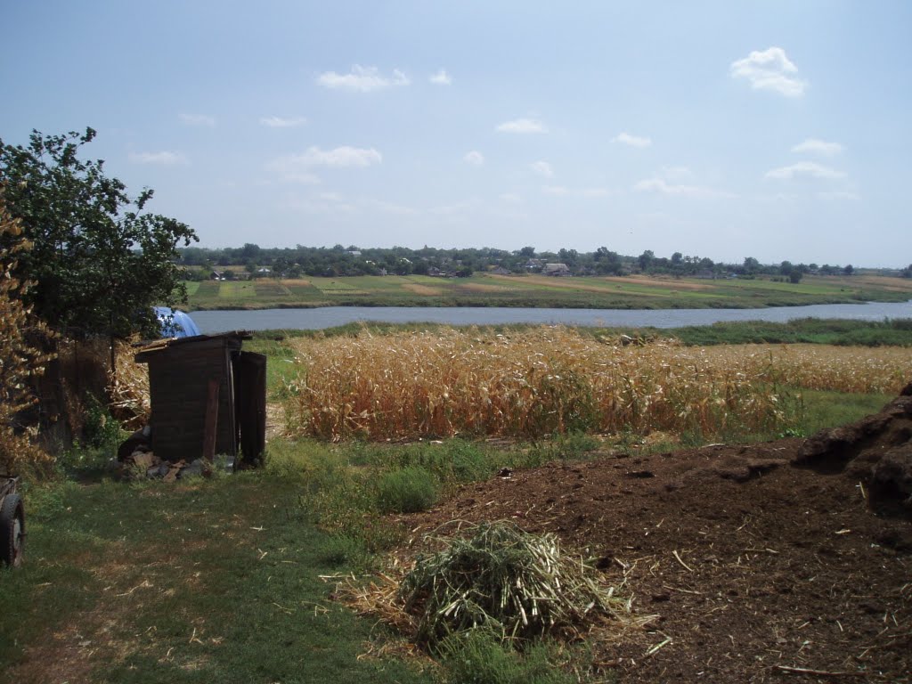 View to the pond