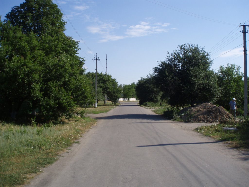 summer2007